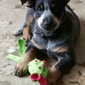 Meet your Posher, Lynn